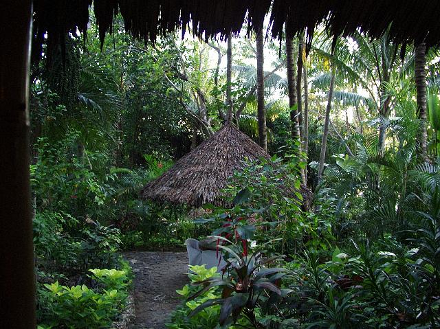 3.Siquijor Coco Grove 146.jpg
